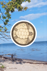 Kette - Schildkröte