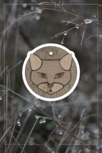 Kette - Katze