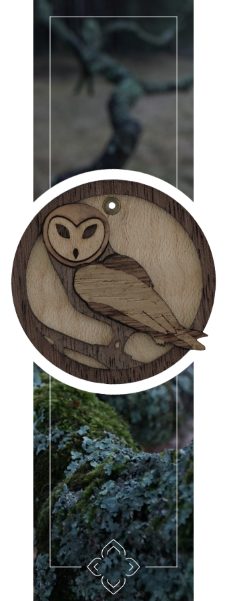 Ohrringe Ohrhänger Accessoire Eule aus Holz